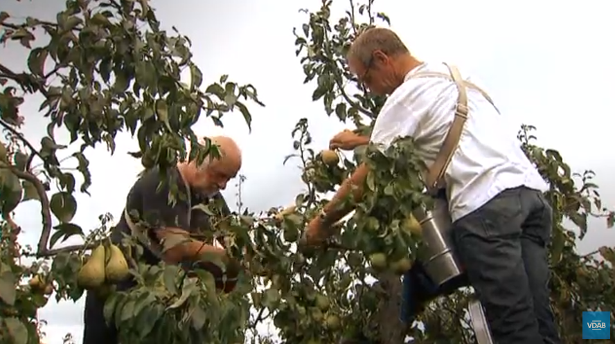 Werken in de land- en tuinbouw sector