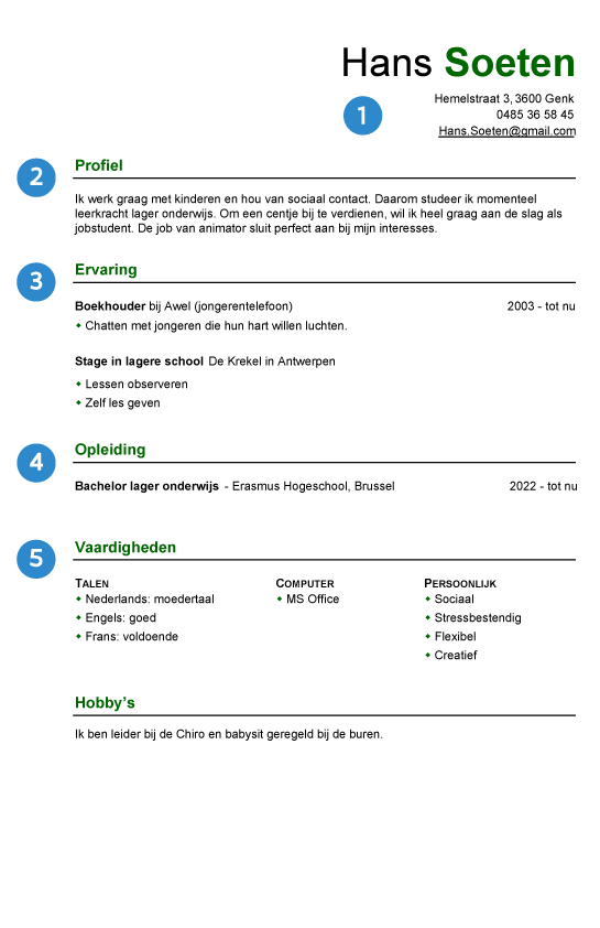 cv voorbeeld jobstudent